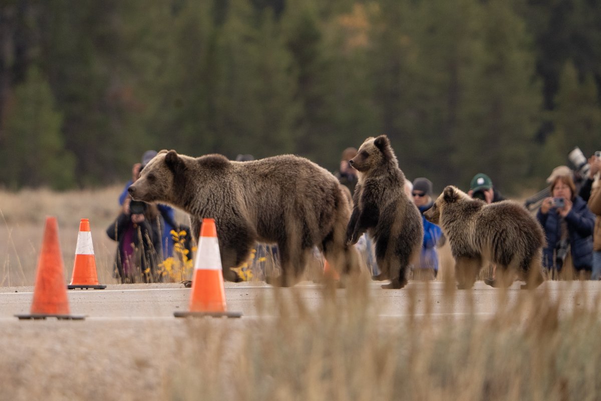 Jeffrey Gagan MD, PhD tweet media
