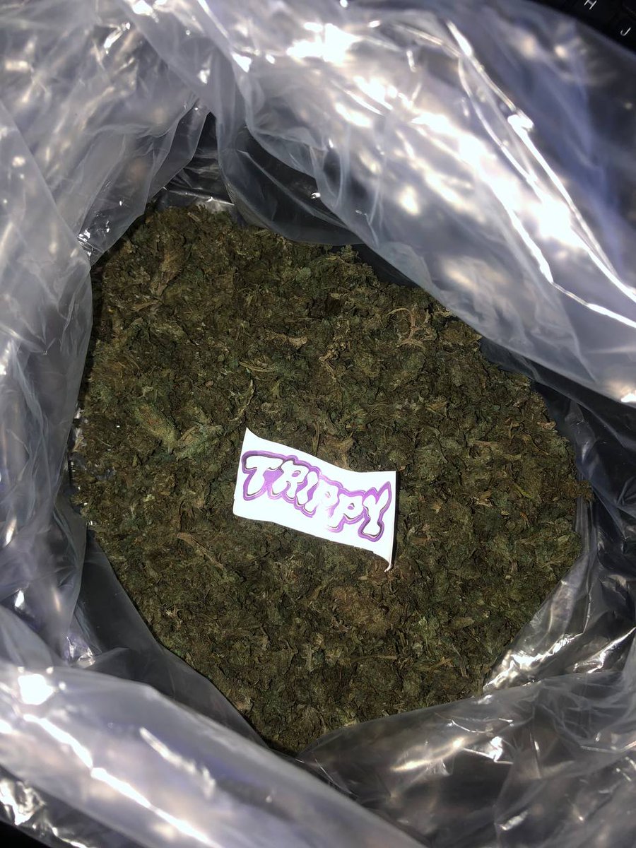SenhorTrippy's tweet photo. Reposição da Indica #maconha #skunk #haxixe #cannabis #matue #trapbrasil #trapbr #kunk #tricomas #indica https://t.co/uinzE8CZaG
