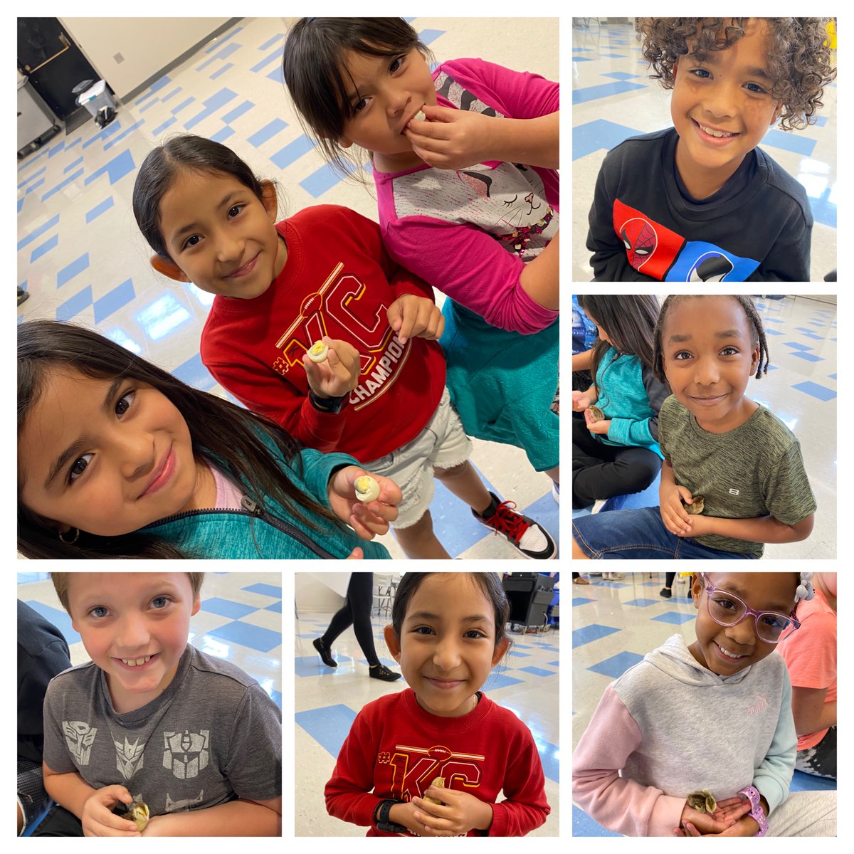 LJohnsonTeacher's tweet photo. Quail Day! Life cycles! @3TrailsTigers @ISDSchools #ISD3rd #isdstrong #kcedu #quail #3tetotheTOP https://t.co/9mmYFucyHM