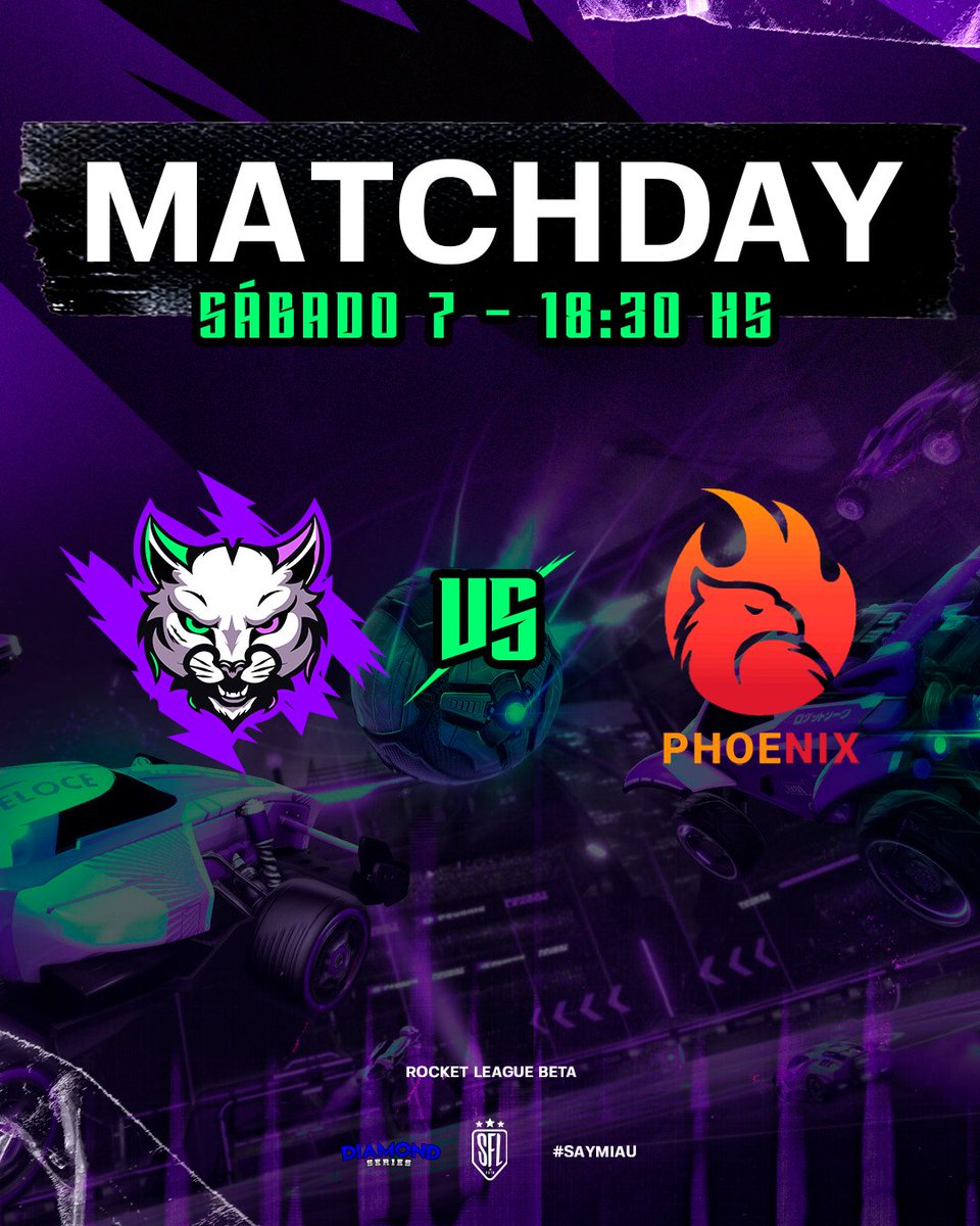 Feles Gaming 😸 tweet media