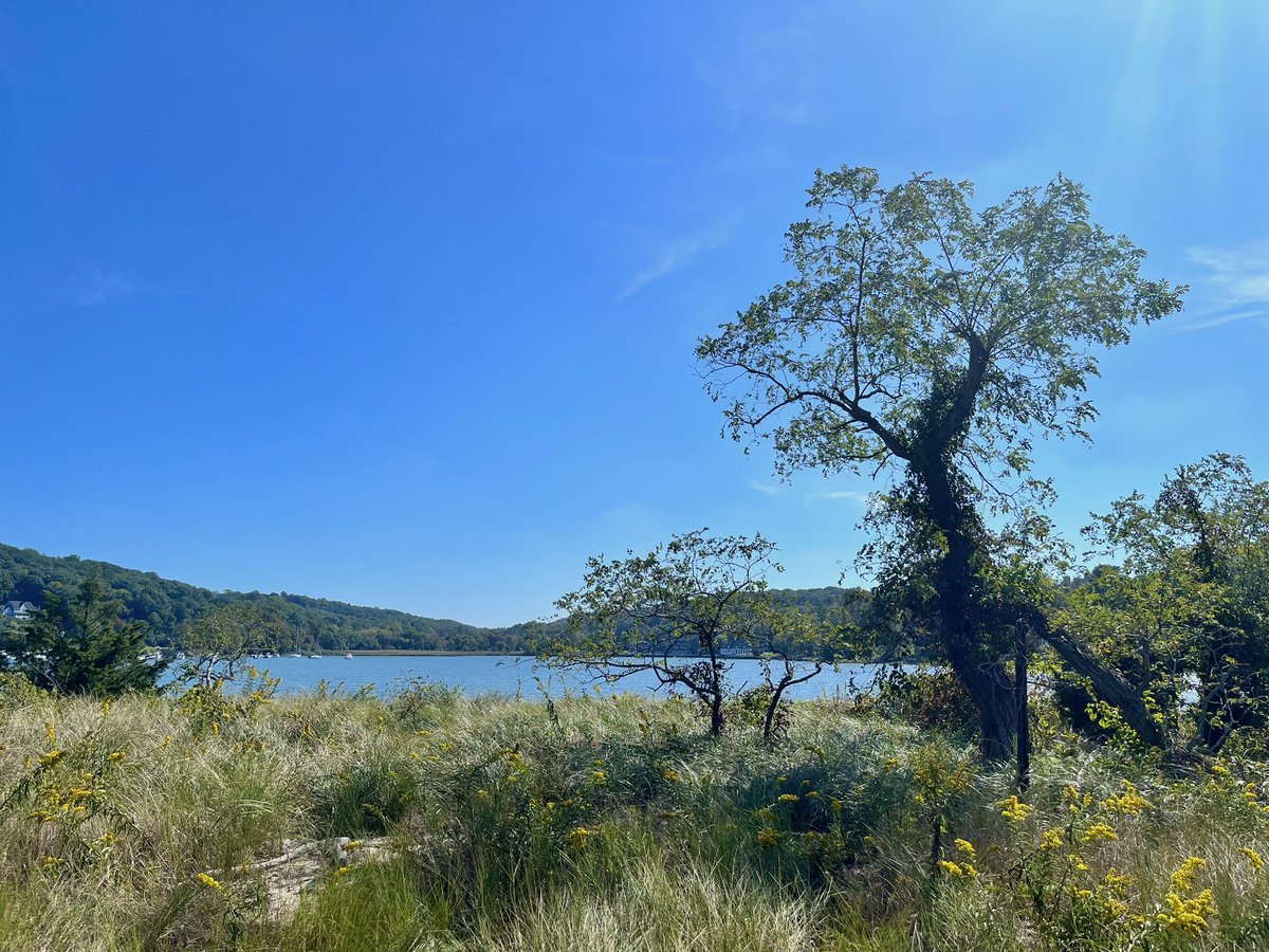 Been having an awesome couple of days at #cshldros23 in this beautiful bay. I may have had a smidge of sunburn while presenting my poster but it was worth it 😊