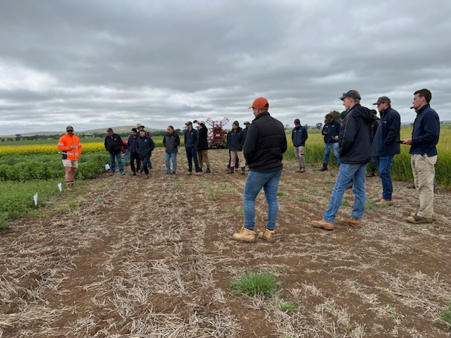 PennyRo25927708's tweet image. Can we grow high value pulses, #lentil &amp;amp; #chickpea in frost prone environments? After 3-4 years of successful research the team extending the possibilities at the @MidNorthHRZ spring field day #intercropping &amp;amp; delay sowing chickpea. @SAGrainTrust @GRDCSouth @SA_PIRSA