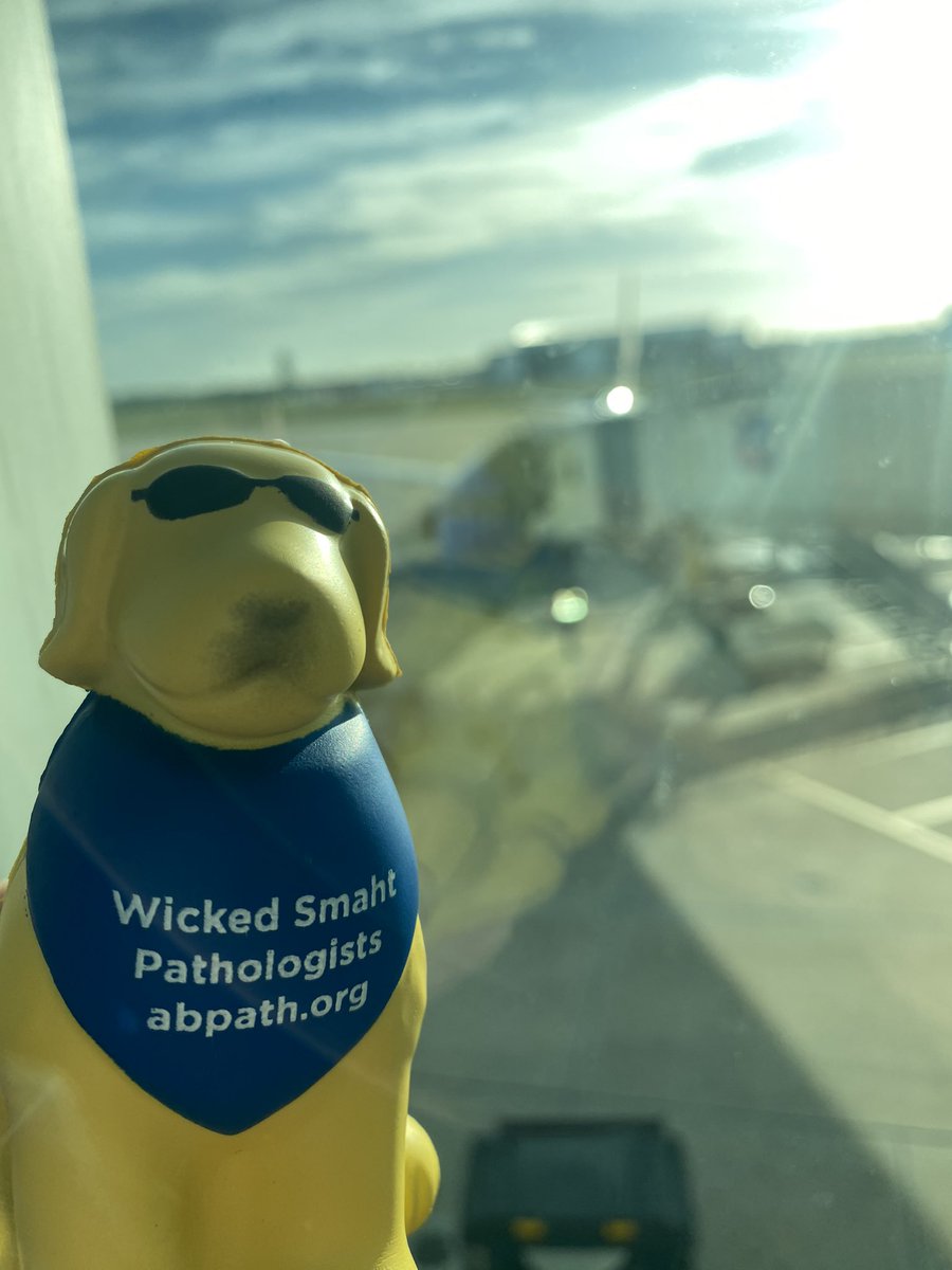 TheABPath's tweet photo. Getting ready to meet some wicked smart pathologists at #CAP2023 #pathologyrocks https://t.co/IB1LXYN8eW