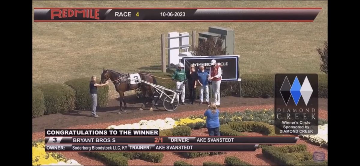 Bros Stables tweet media