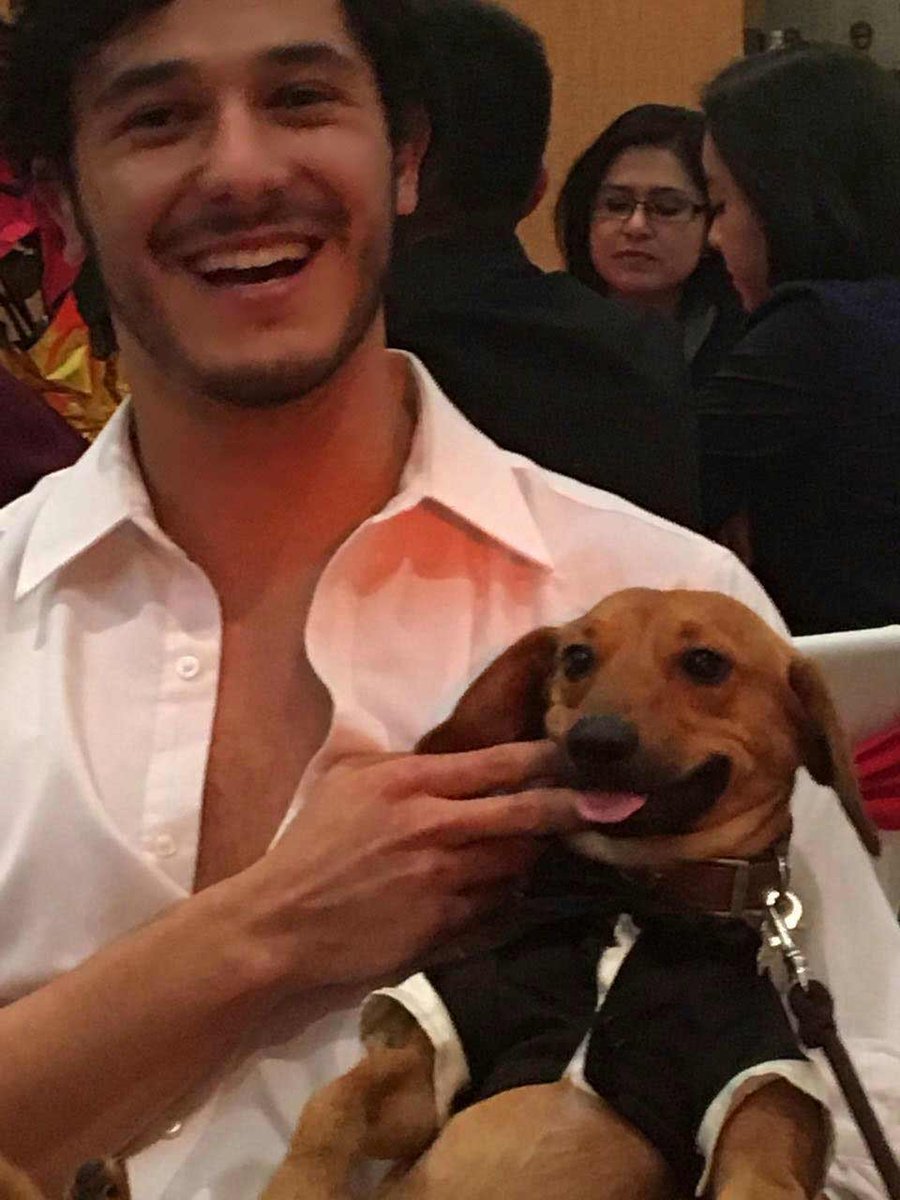 jomandoes's tweet photo. Mi fiel amigo para toda la eternidad 🖤 estedes tienen un Holtercito en sus vidas ? https://t.co/R5FW7Vg8Lz