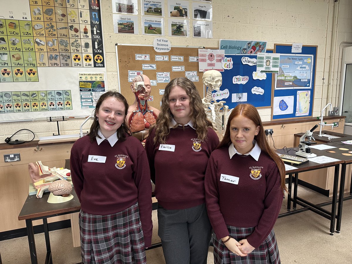 St. Farnan’s PPS, Prosperous tweet media