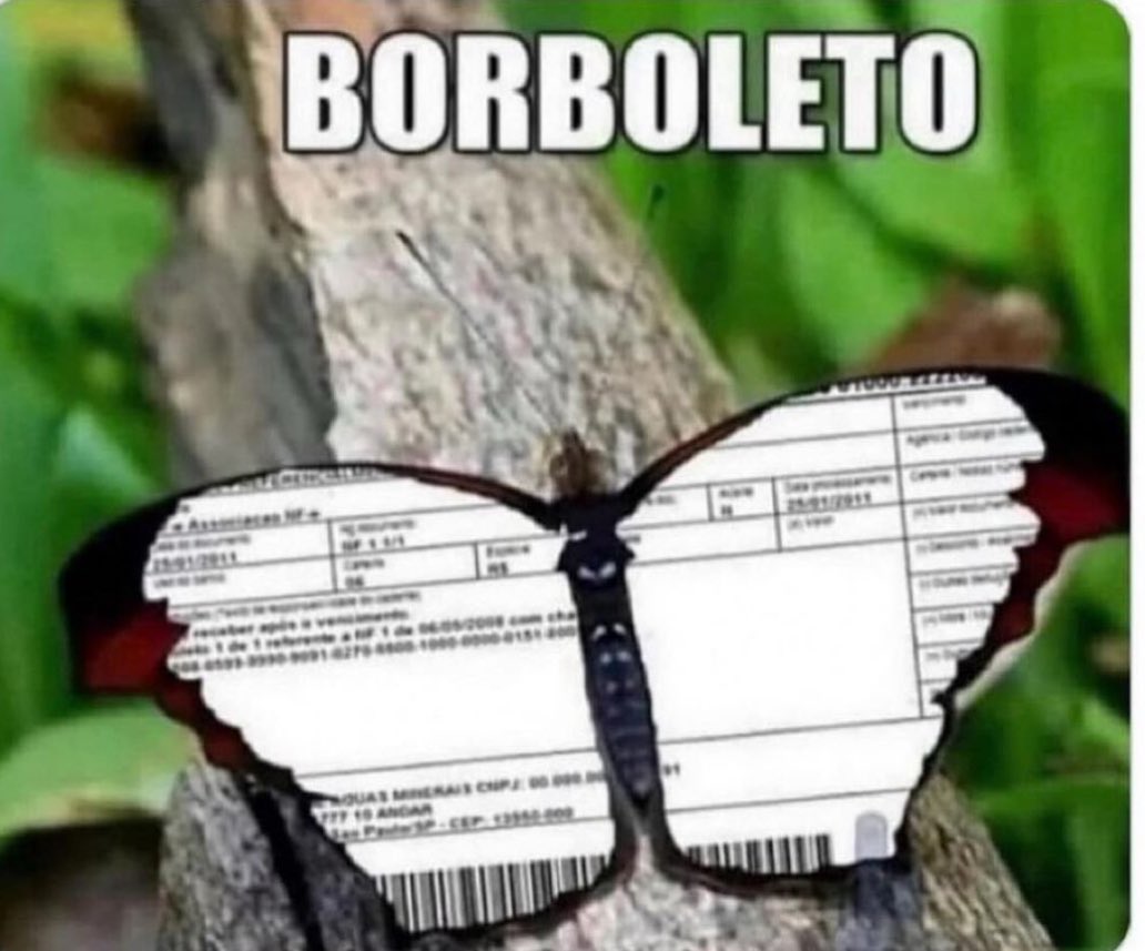 NazareAmarga's tweet photo. único inseto que eu tenho medo https://t.co/qOK5RSYrTM