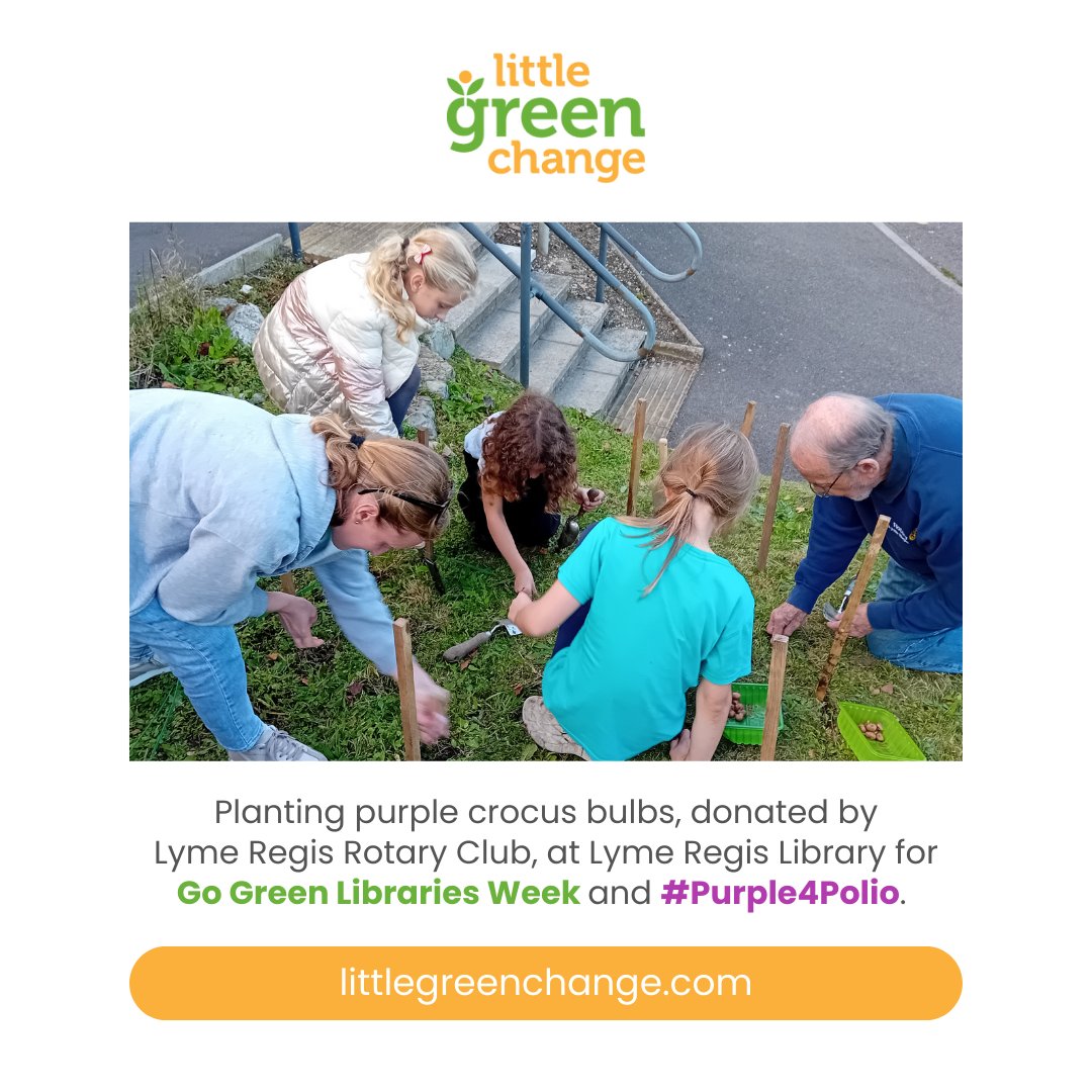 Planting purple #crocus #bulbs, donated by the Rotary Club of Lyme Regis, at Lyme Regis Library for #GoGreenLibrariesWeek and #Purple4Polio. A huge thank you to all the children and adults that volunteered. #littlegreenchange #environmentaleducation #plantsforpollinators