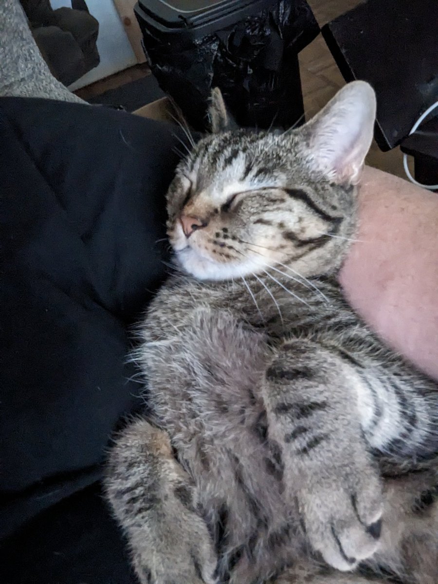 My buddy Rocky