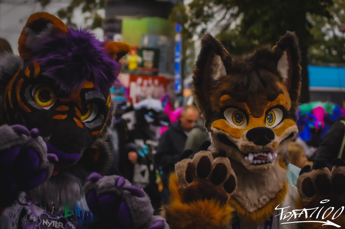 more photos📷
with <a href="/NyterFluffTiger/">Nyter</a> 
#FursuitFriday #fursuit