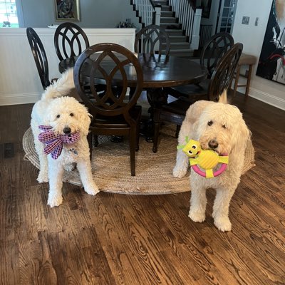 #NewProfilePic