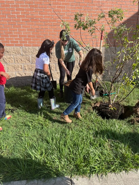 Deanda_HISD's tweet photo. Thanks so much to @TreesForHouston and @MeritageHomes for planting so many beautiful trees on our campus and teaching our students why trees are important for our city! @MonicaBa15 @HISD_Wraparound @HisdSouth @HoustonISD https://t.co/DBfeFIPn9o