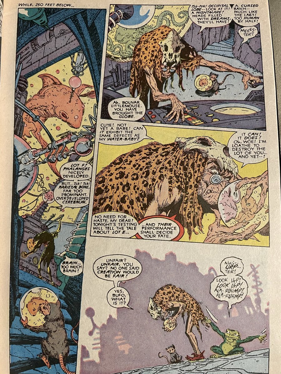 WolfmanRagu's tweet photo. Origins of their latest recruit Bird Brain leads to a loss of one of their own. Double for Ilyana as things take a turn for the worse in the #FallOfTheMutants story arc. Warlock takes a page out of Pet Cemetery and does the unthinkable #TheNewMutants 59-64 https://t.co/YlIP1KVHNb