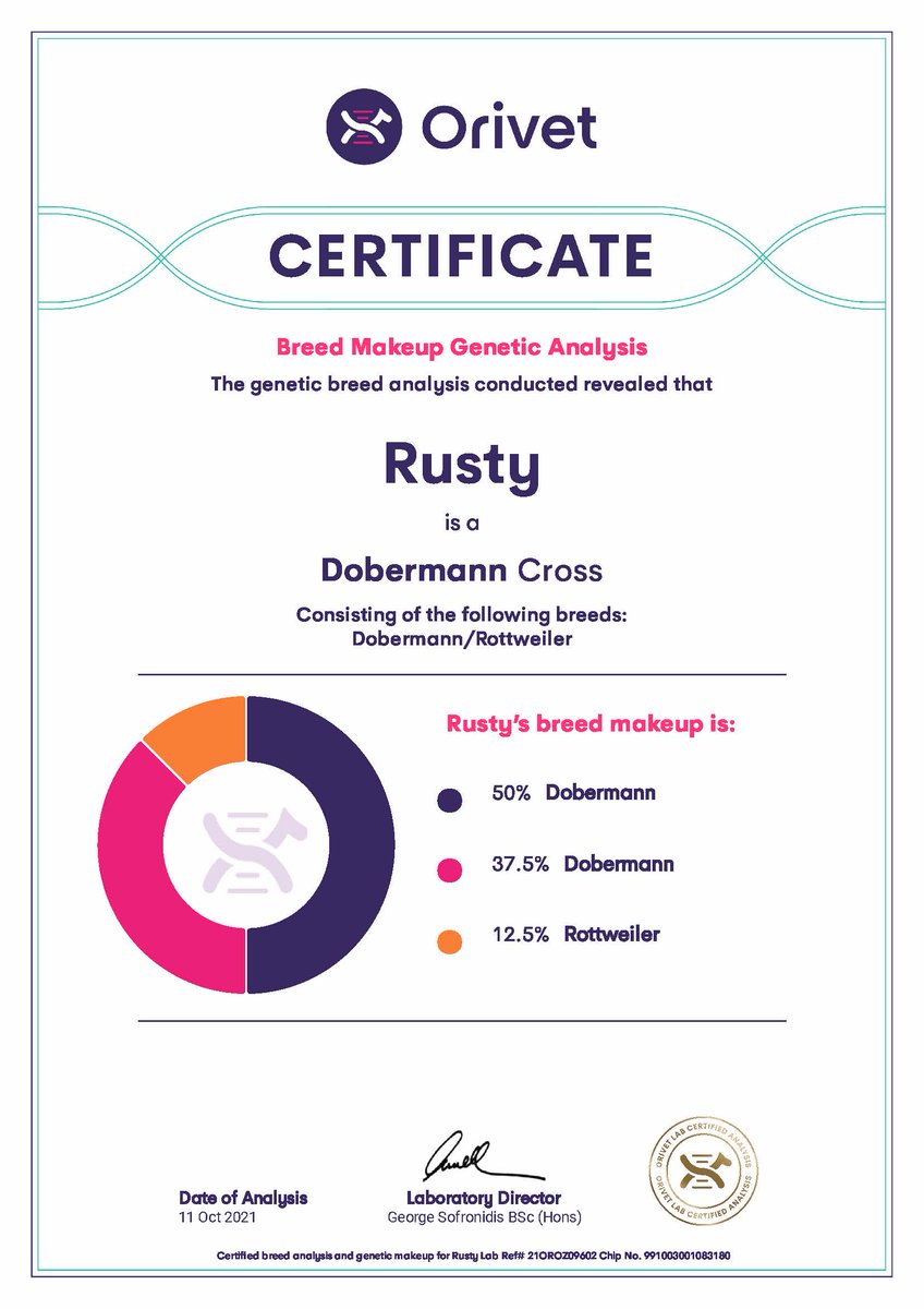 Darkashadows's tweet image. What the #ANKC #Dogsqld &amp;amp; #DogsNSW do when you buy a crossbred dog from a #DogsNSW registered breeder. NOTHING! Sorry they suspend the victim and not the scammer.