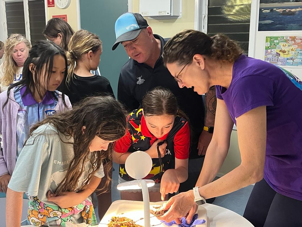 Cathie Page tweet media