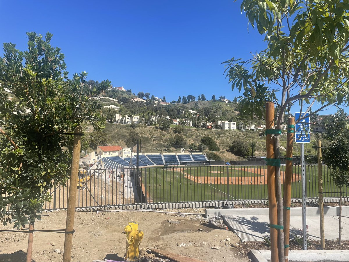 Art Senato tweet media