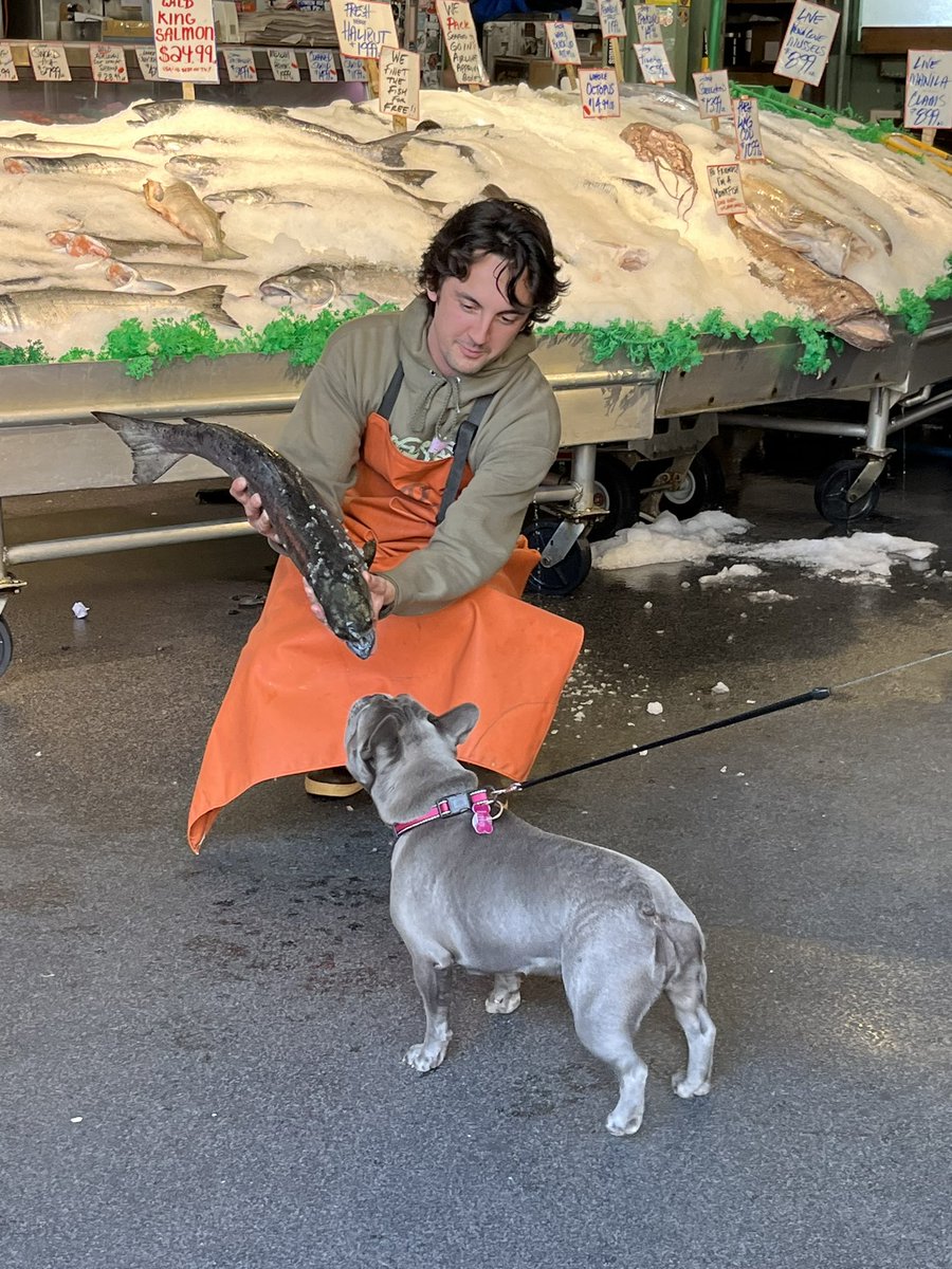 Teresa Mosqueda tweet media