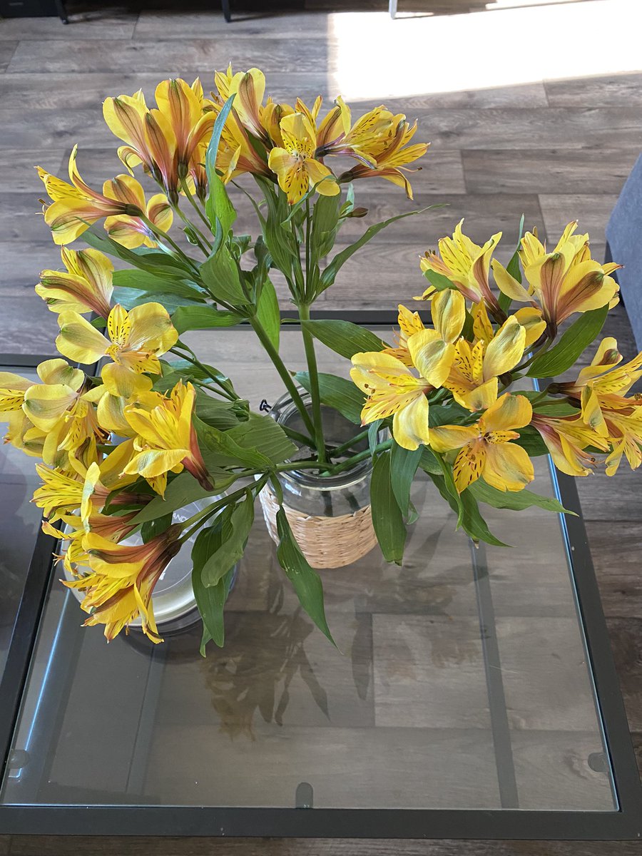 JaellaAlleguez's tweet photo. Flores de Treven ❤️ https://t.co/CYMFraHDfl
