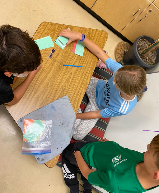 BPSHawks6's tweet photo. Students studying together in groups using cards and making a game out of answering questions about trees and forests. #BPSHawks6 #BPSHawksLearn #WeAreCBE https://t.co/flM6j19VPc