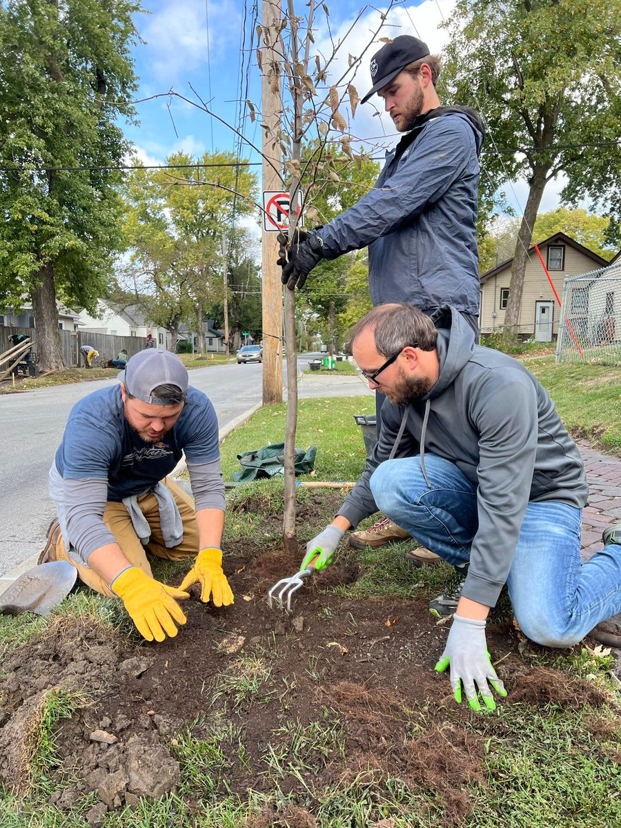 Voss Distributing employees planted 90 trees today for Trees Forever along 12th and 13th Streets north of Euclid.