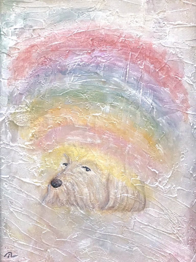 kirafuku0716's tweet photo. 積み重ねた撫でを犬は忘れません https://t.co/fCIdvZ3P8S