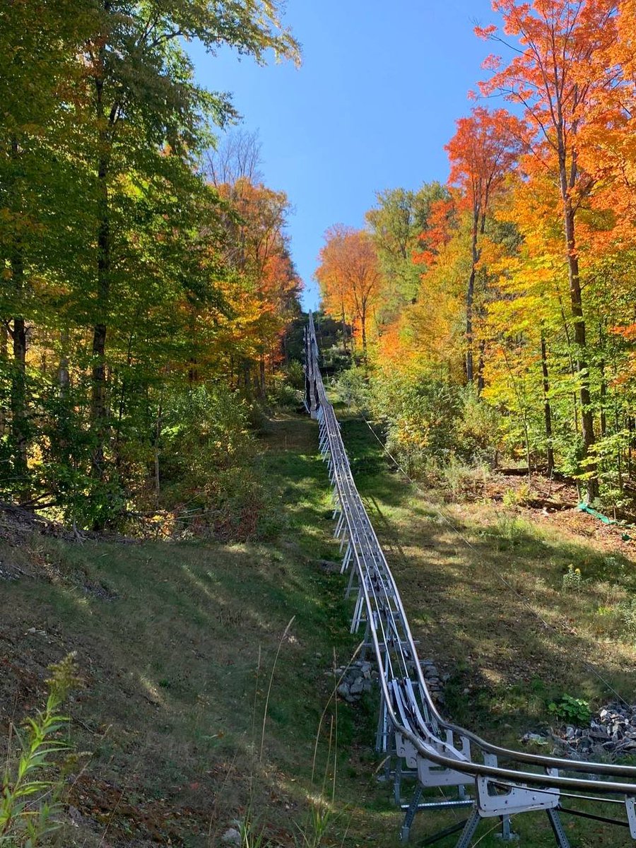 ShellyHayes28's tweet photo. Early autumn is always gentle, leaving summer behind during the day and carrying the autumn breeze after sunset. https://t.co/oCUfdn760z