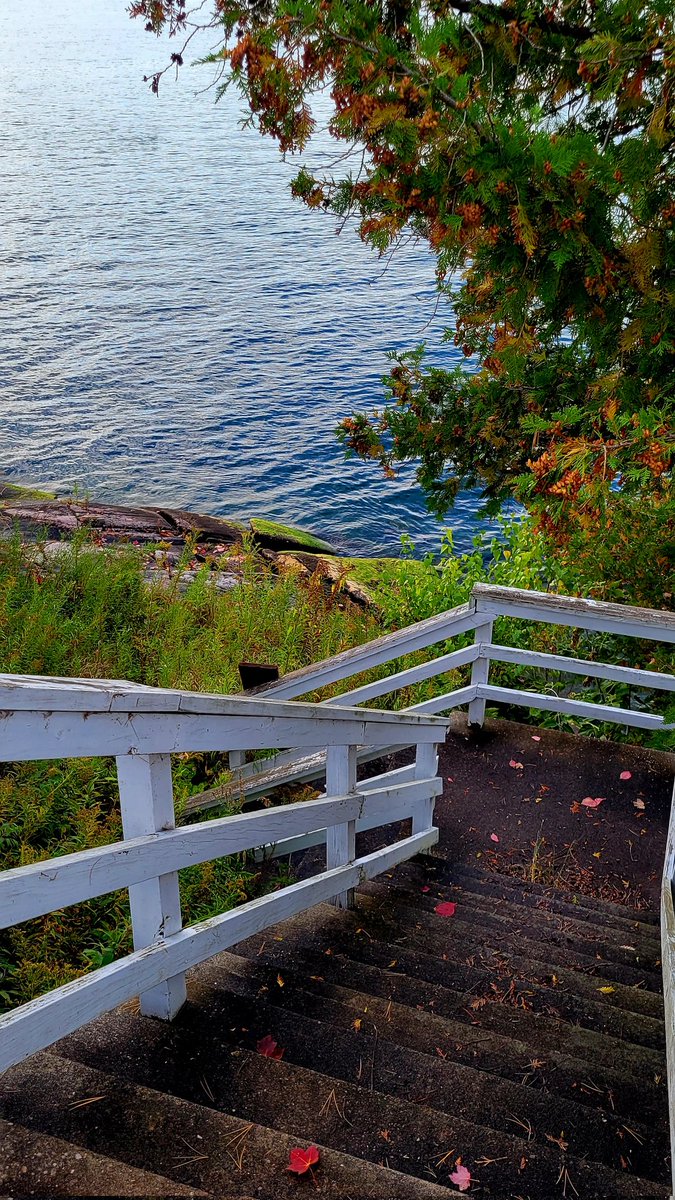 CJ Dotson pre-order THE CUT tweet media