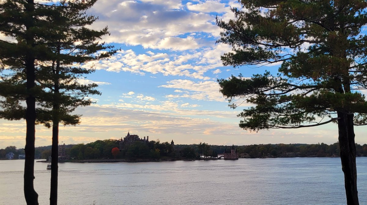 CJ Dotson pre-order THE CUT tweet media