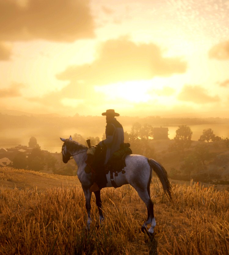 ButchersPH's tweet photo. #RedDeadRedemption2 #RedDeadRedemptiononline #RockstarGames #gaming #VGPUnite #VGPNetwork #VirtualPhotography #ThePhotoMode #ArtisticofSociety #TheCapturedCollective https://t.co/dbZQdpqa1h
