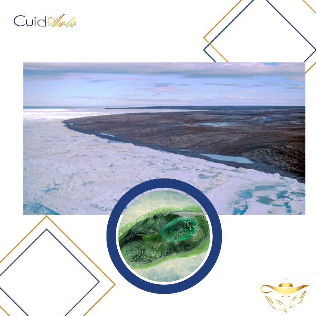 RevistaCuidArte's tweet photo. Te invitamos a leer la Gaceta UNAM  con el artículo: “Salen microorganismos a la superficie con el deshielo de los glaciares”; Disponible en: https://t.co/NVHs6VvOGO https://t.co/RRNxMXnAvF