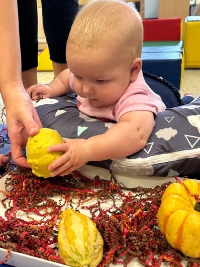 Kim Case tweet media