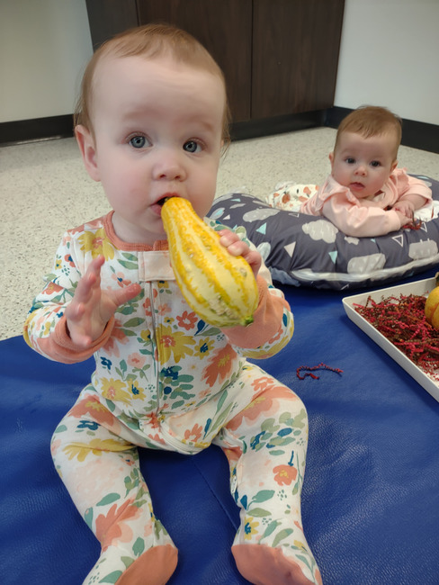 Kim Case tweet media