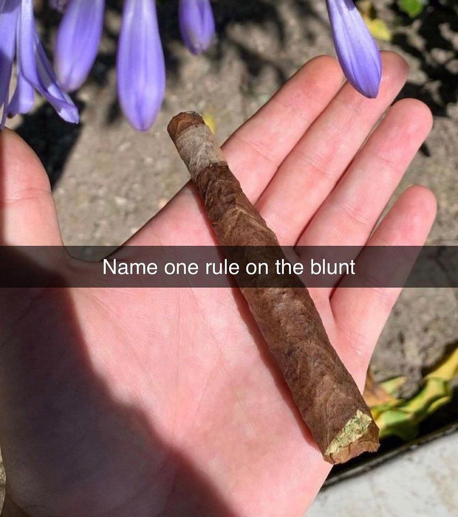 THC Humor 💹🧲 tweet media