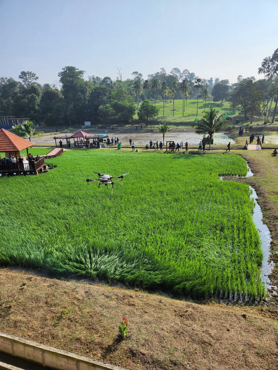 azulitasalim_'s tweet image. Field Visit AMAF Agriculture Ministers and 
Delegates at Taman Botani Shah Alam, Selangor. Tq all, you all are superb!