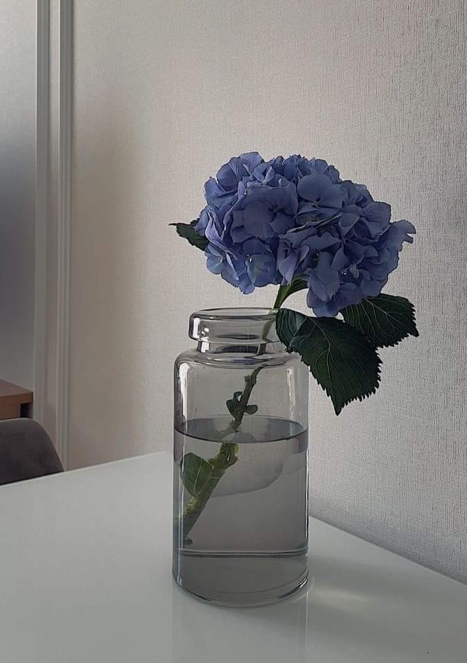 sunflow23002724's tweet photo. เงียบให้สุด ให้มันจุกอยู่ในใจ.🥲🥀 https://t.co/04B8STbGIV