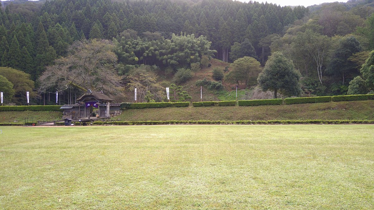 SerrowY's tweet photo. 一乗谷なう。
#一乗谷 https://t.co/ZljPYxsAAV