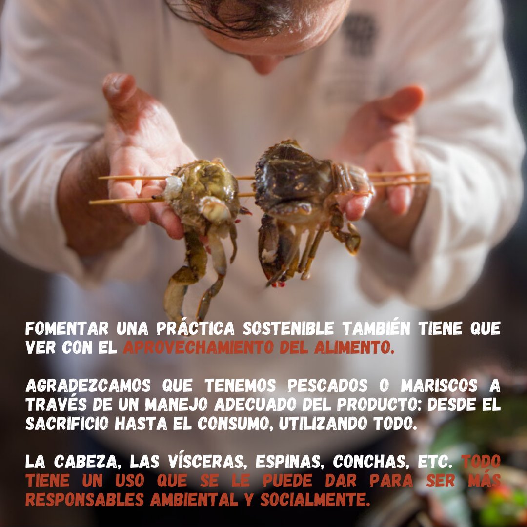 Reducir drásticamente el desperdicio de alimentos es el ODS número 12 de la agenda de la #ONU para 2030.Aprovechar en su totalidad un producto, pesquero, acuícola o de otro sector agropecuario, siempre será la opción más #sostenible para nuestra salud y el planeta.