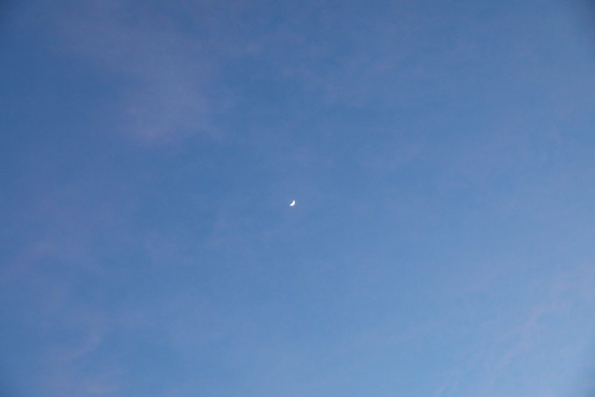 Me dijeron por ahí que me preparara con palomitas y soda para darle la ⁦⁦#환영·𝐭oꪆ୧𝕞ōōn𝚕and⁩. So, everybody ⁦#𝑠a𝚢𓈒࣪໑짠쿵쾅⁩ y llenemos de mucho amor a las preciosas <a href="/moonlandfiles/">𝕞ōōn ⋆｡𖦹 𝚕and</a>⁩.

ⵓ𓏲࣪  冰 𝒑𝒓𝒊𝒏𝒄𝒆 ♛⎯ #⃝𝕍𝑒𝑟𝑖𝑠𝑠𝑒