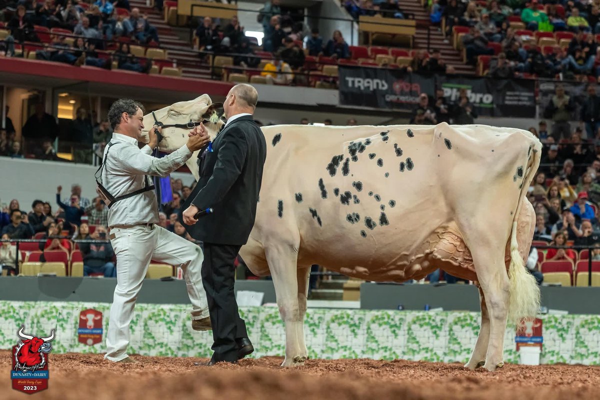 Best cow In the world at World Dairy Expo #Wisconsin
