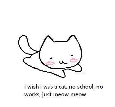 catshealdeprsn's tweet photo. https://t.co/Vqv8RvJKs6