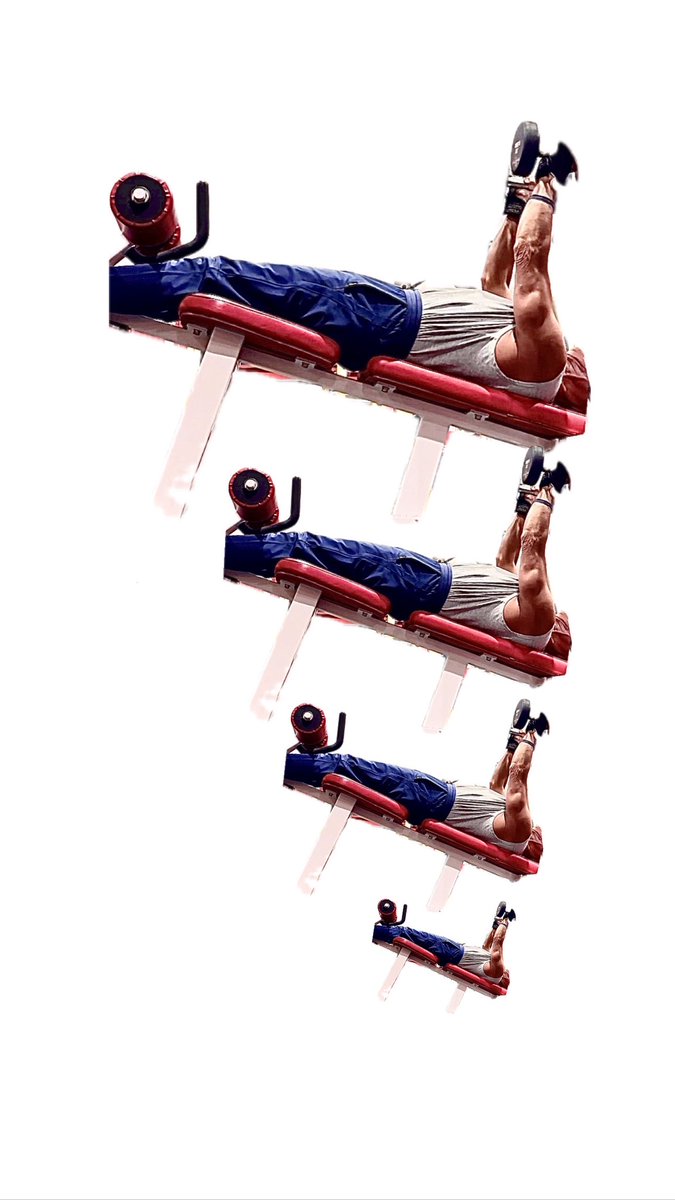 JerardF's tweet photo. Contrary to popular belief the decline dumbbell press done correctly is the best chest builder

 #videos #food #gymlife #health #diet #fitness #fitfam #strongwomen #weightloss #healthyfood #fitspiration  #fitnessmodel #gym #vitamins #fitnesslifestyle #fitlife #gymtime #workout https://t.co/Gin7ueaVya