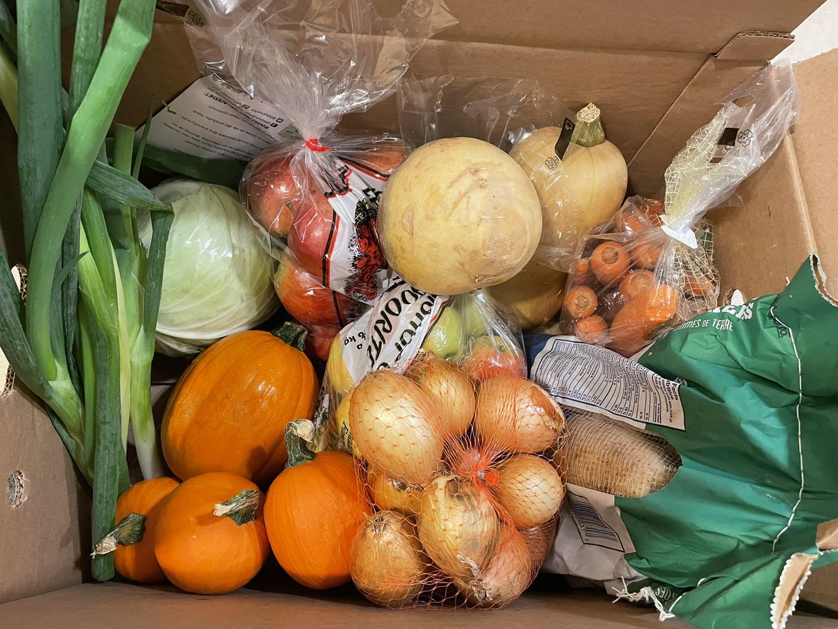 Primary Ng tweet media