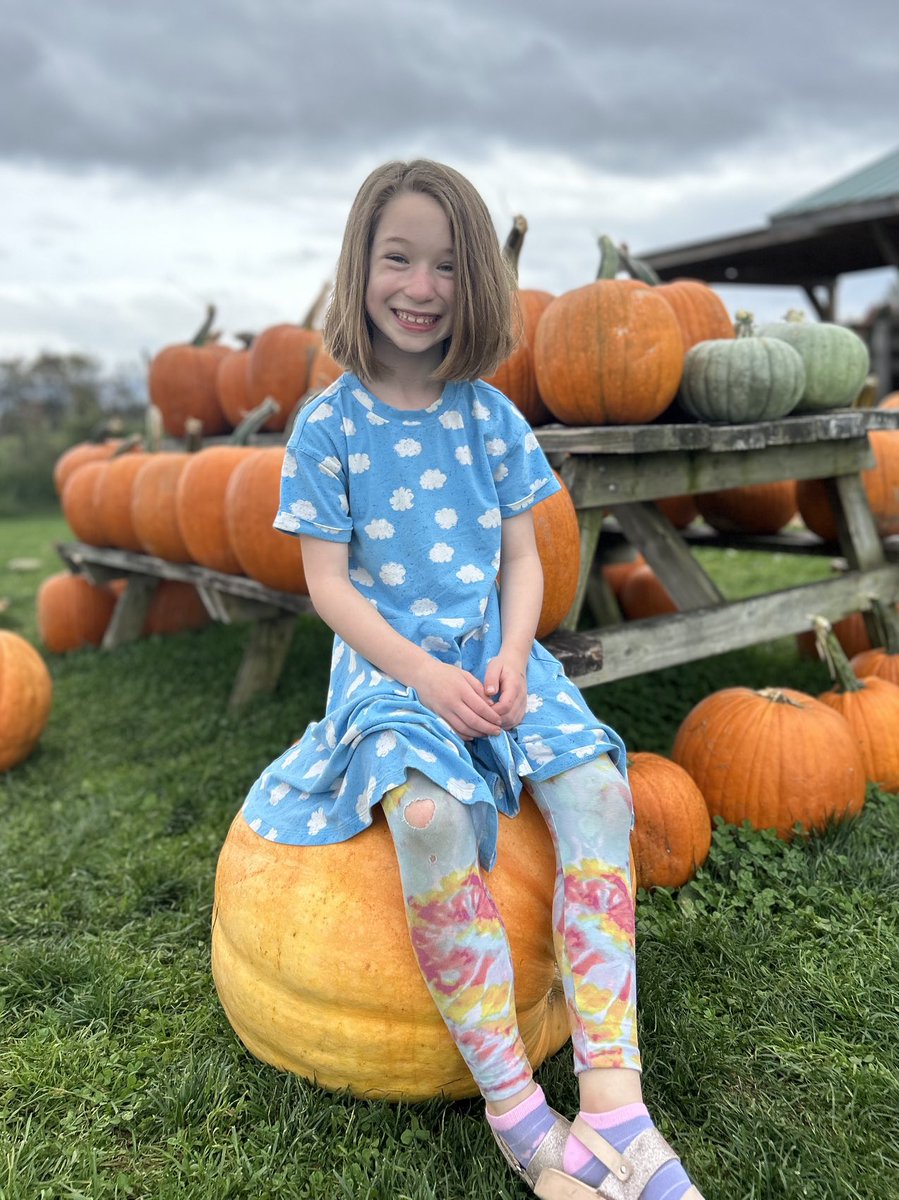 Book Nerd tweet media