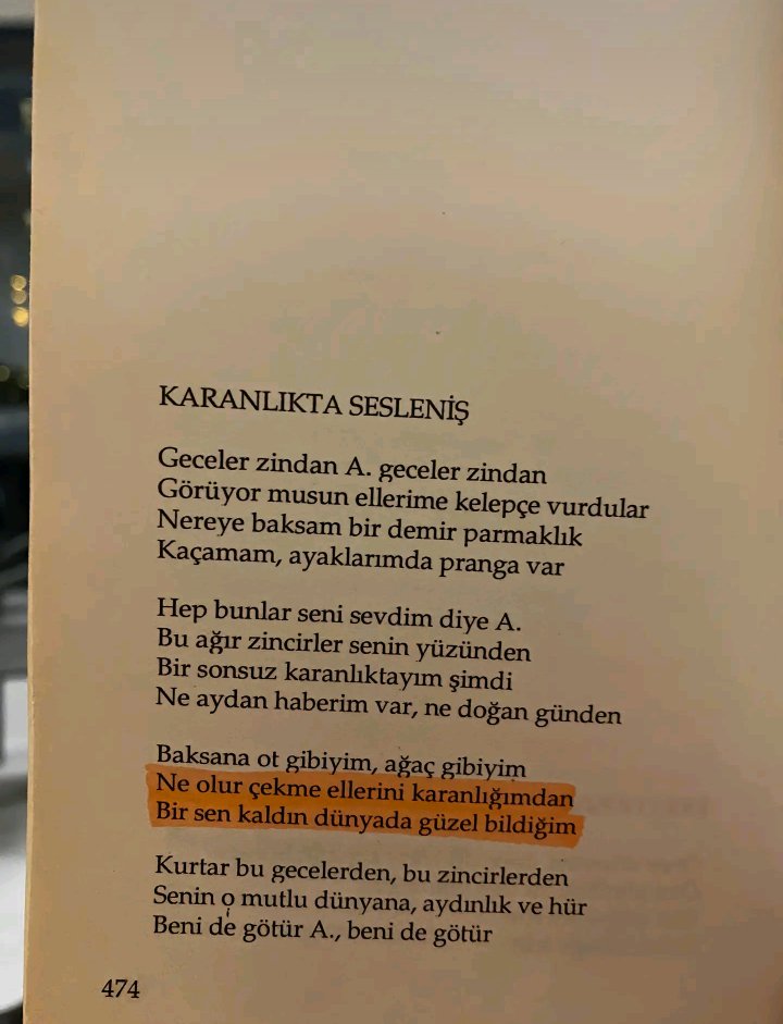 Gamze Sera (@gamzeilb) on Twitter photo 