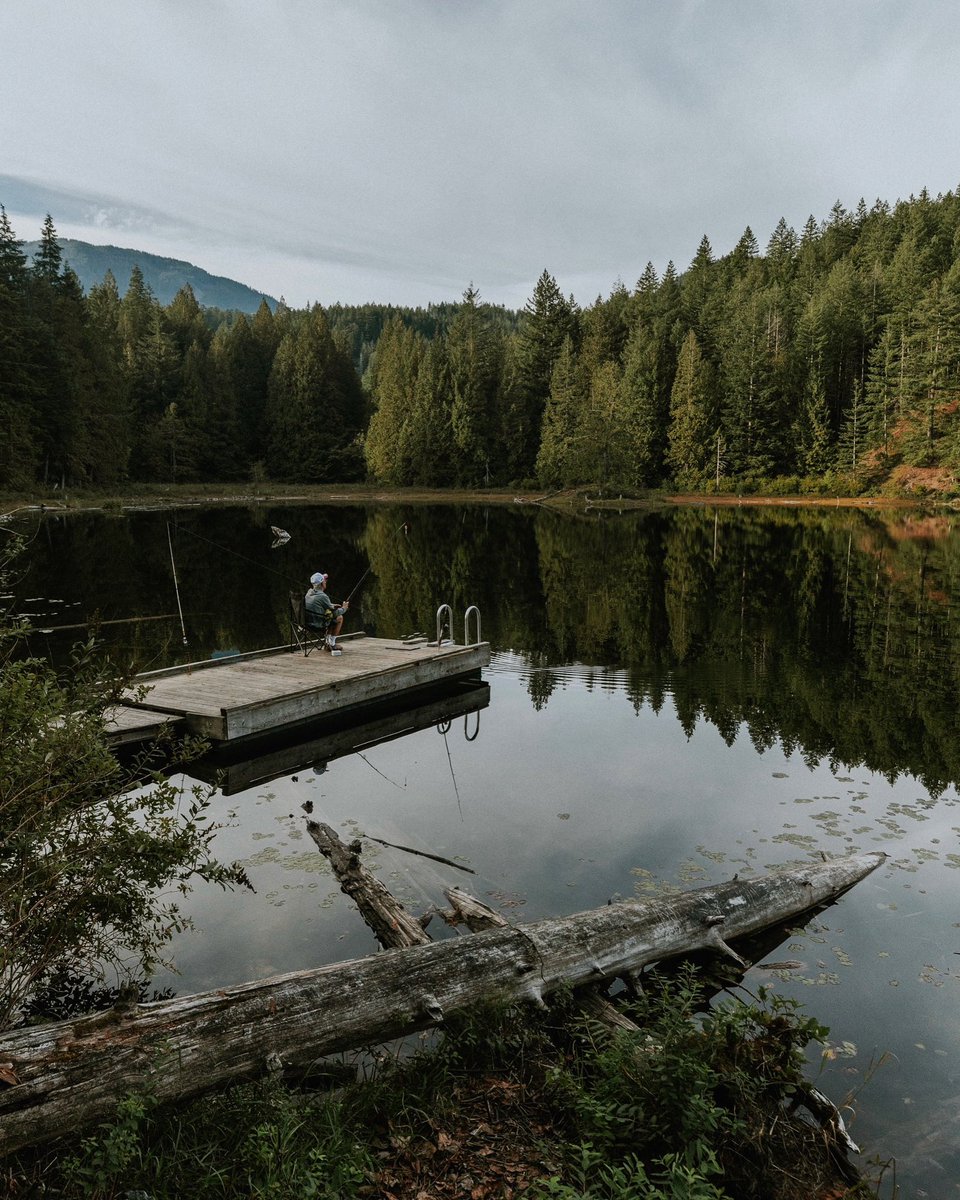 harrisontourism's tweet photo. Wishing you a safe and wonderful long weekend in Harrison River Valley! 🌿 Discover all the resources you need on https://t.co/GTNB5gzrkC to plan your perfect trip!

📍Weaver Lake, BC

#JustUpTheRoad #HarrisonRiverValley https://t.co/wSfmoc9oSo