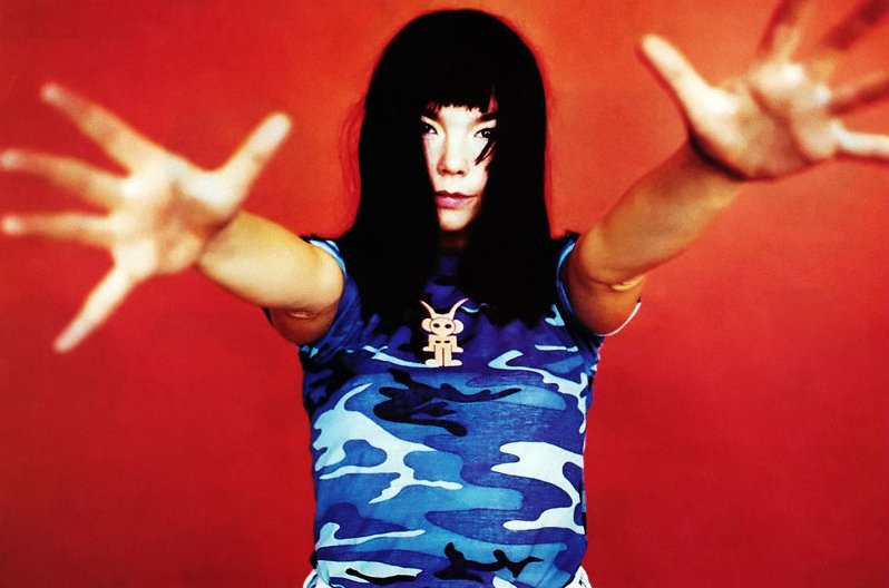 Bjork by Joseph Cultice