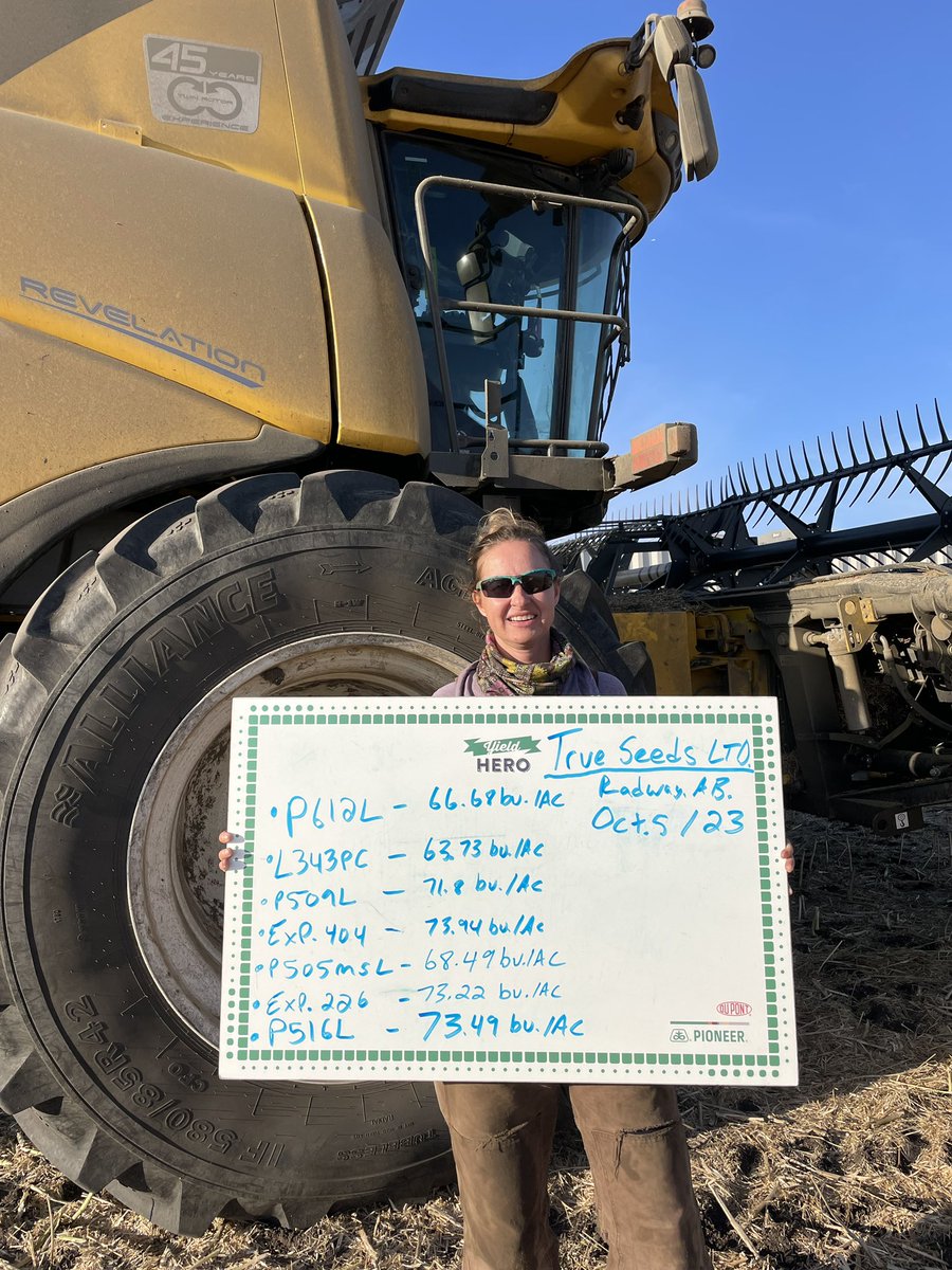 Those yields are worth a smile. Thanks for working with us on these plots <a href="/TowerFarmsLtd/">Tower Farms Ltd</a> #yieldhero <a href="/BeckyBoychuk/">Becky Boychuk</a> <a href="/PioneerSeeds/">Pioneer Seeds U.S.</a>