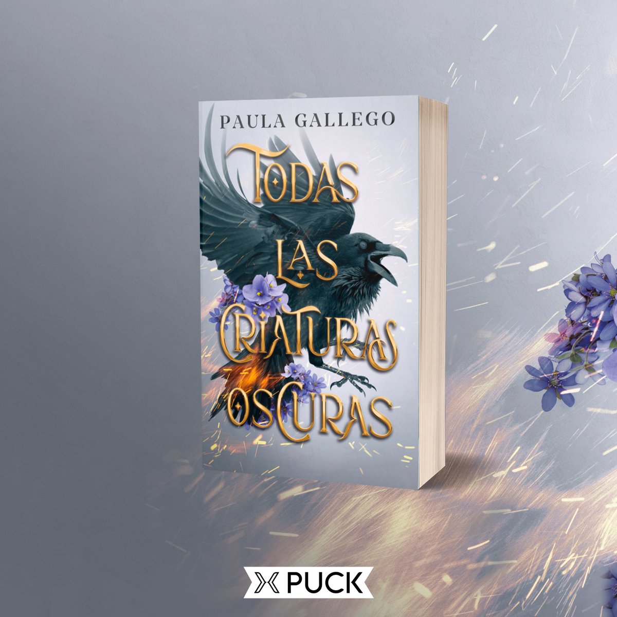 Puck_ed's tweet photo. En solo un mes vais a poder leer este romantasy oscuro y adictivo...🔥
¿Estáis listos para adentraros en el mundo de #TodasLasCriaturasOscuras de @PaulaGallegoDH ?😏
No podéis dejar pasar esta #NovedadPuck.
Disponible en librerías a partir del 7 de noviembre. https://t.co/M4XMrx2LtJ