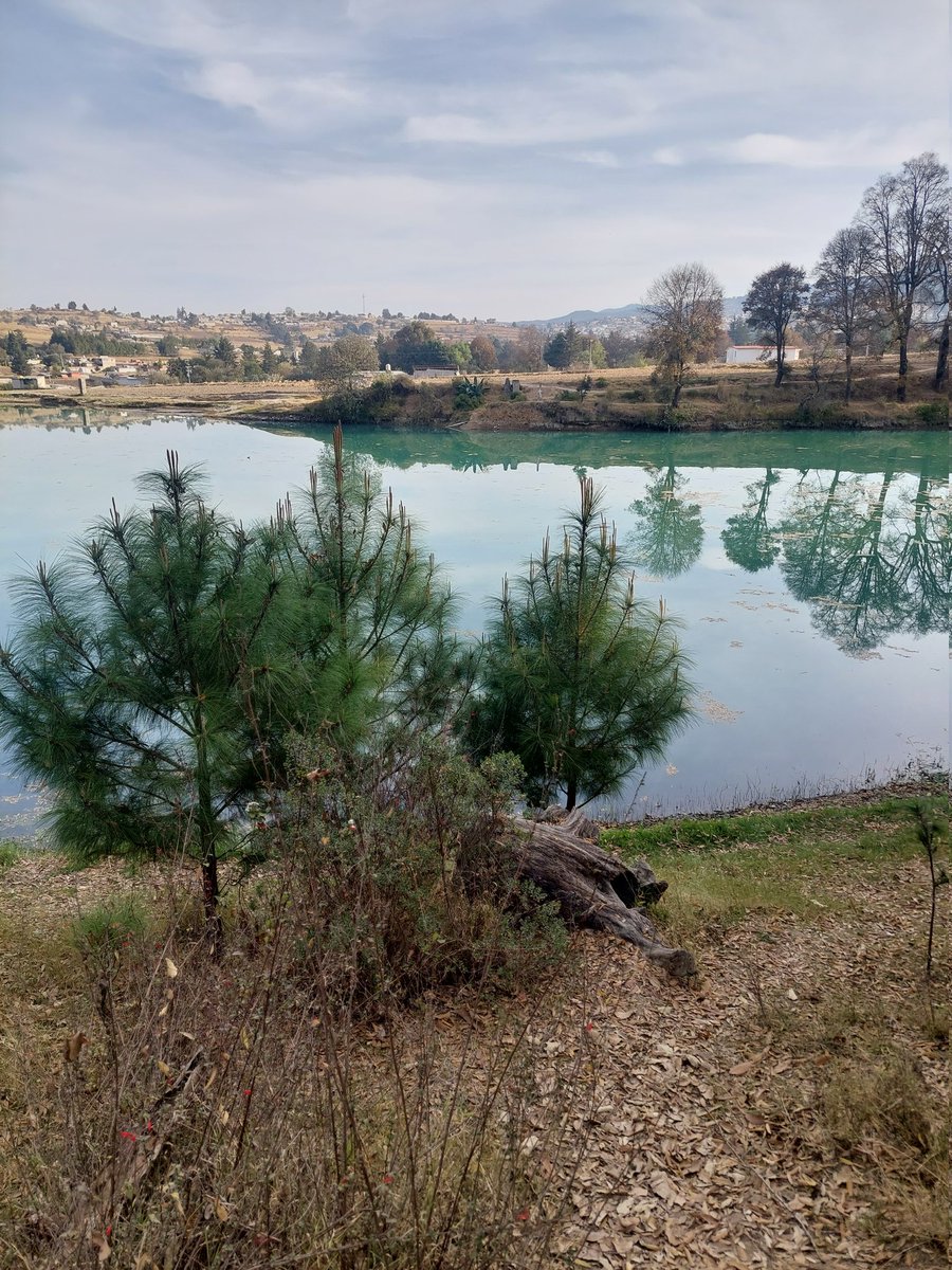 Un lugar de esparcimiento 🌳🌳
#Jiquipilco #PresaVerde