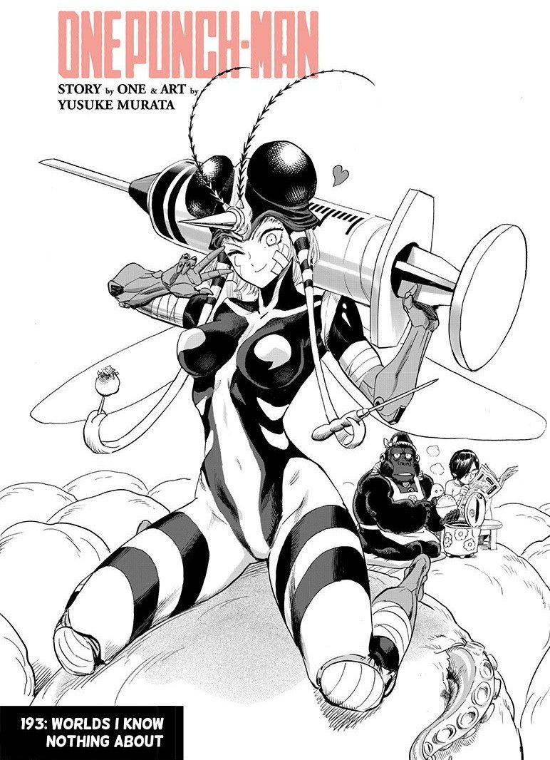 One Punch Man Girls Archive (@opm_girls) on Twitter photo 